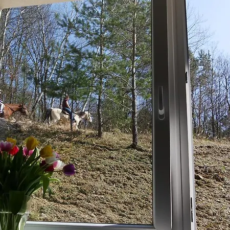 Vsemina Apartman Luzkovice Zewnętrze zdjęcie